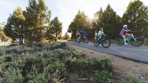 A family of two adults and two children biking on the road along side lush green trees and sunlight peaking through leaves.