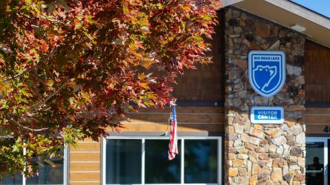 A bright fall colored tree's leaves seen in front of the Big Bear Lake Visitor Center building.