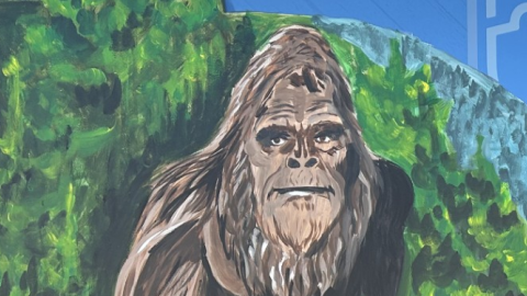 A photo of the Big Bear Visitor Center window art, the art depicts the Squatch among the tree covered mountains.