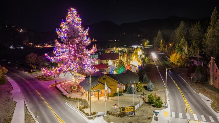 An overhead photo of the Big Bear Alpine Zoo Wild Lights - the giant pine tree at the entrance covered in multi-color lights.