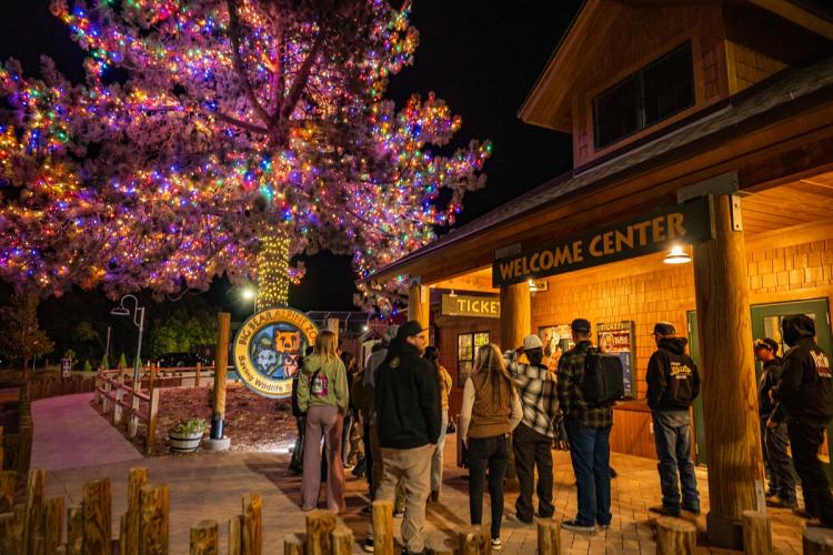 The entrance to the Alpine Zoo Wild Lights event, the giant pine tree covered in multi-color lights next to the crowd in line