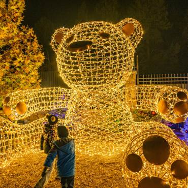 A photo from the Big Bear Alpine Zoo Wild Lights - there is a giant teddy bear with it's arms stretched out wide.