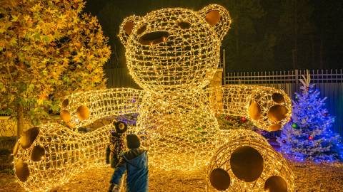 A photo from the Big Bear Alpine Zoo Wild Lights - there is a giant teddy bear with it's arms stretched out wide.