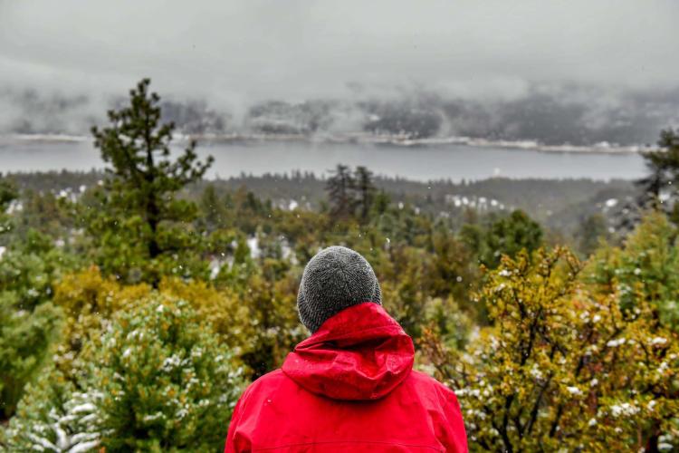 A man gazes out on a winter forest landscape. A frosty lake and rich green forest are sprawled across the landscape.