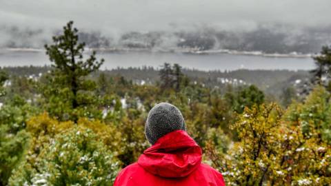 A man gazes out on a winter forest landscape. A frosty lake and rich green forest are sprawled across the landscape.