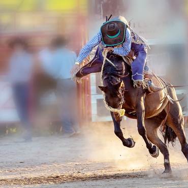 A cowboy riding a horse's back during a rodeo - they are wearing blue jeans, a blue plaid long sleeve shirt and a brown hat.