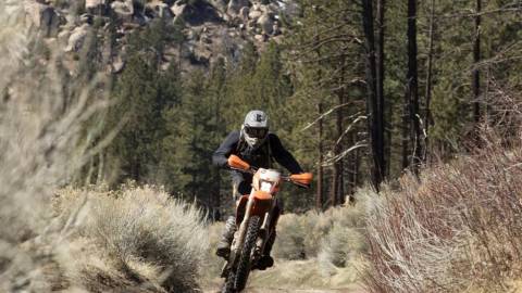 A dirt bike rider is racing down a dirt path on his orange bike, behind him is a rocky mountains and forestry.