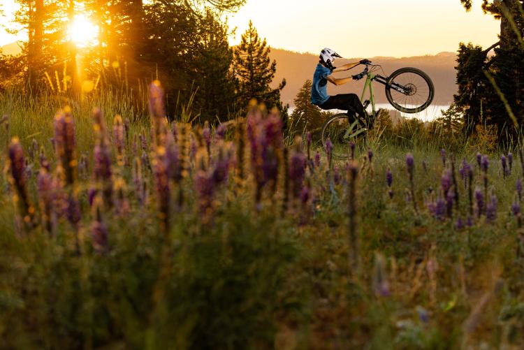 A person riding a bike during a glowing orange sunset in Big Bear Lake, CA - there are wildflowers in the foreground.