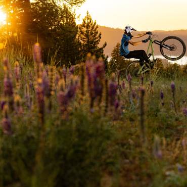 A person riding a bike during a glowing orange sunset in Big Bear Lake, CA - there are wildflowers in the foreground.