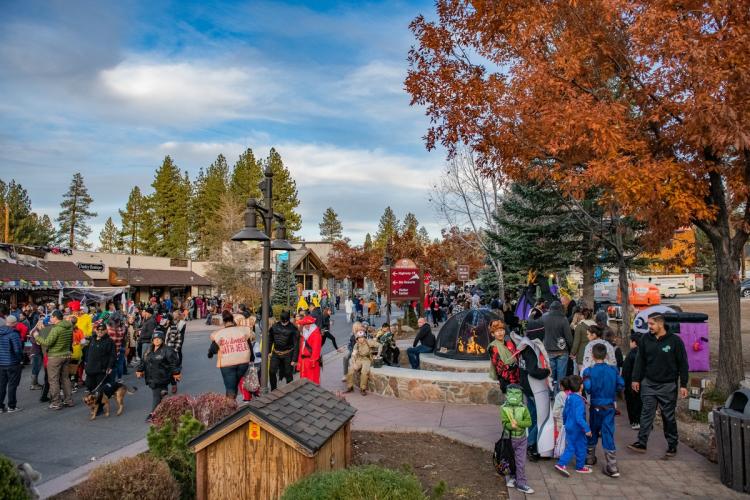 A photo of the Big Bear Lake Village during Halloween - the fall colored leaves accompanying the large crowd.