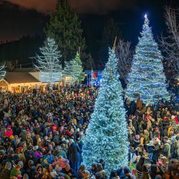A large crowd of warmly bundled people surrounding the light covered trees at the Village Christmas Tree Lighting Ceremony