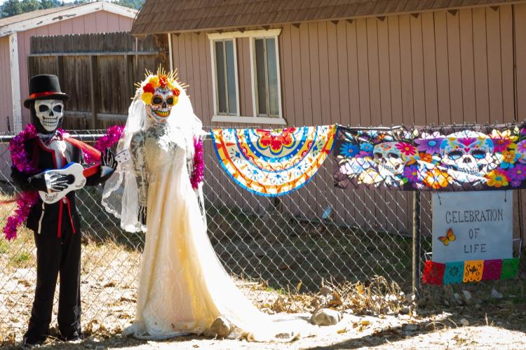 2025 Scarecrow & Dia de Los Muertos Display - two skeletons, one dressed as a bride and one as the groom.