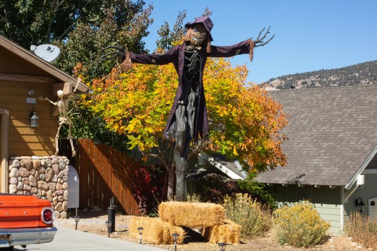 A 2025 Scarecrow & Dia de Los Muertos Display - there is a tall scarecrow wearing a coat and cap coming from a darkened tree.