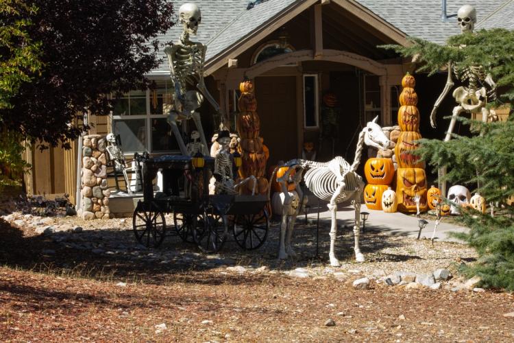 A 2025 Scarecrow & Dia de Los Muertos Display - there is skeleton in a horse drawn carriage, the coachman is also a skeleton.