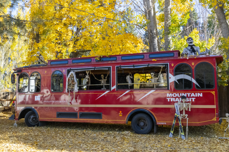 A 2025 Scarecrow & Dia de Los Muertos Display - there are many skeletons in, on, and around the mountain transit trolley.