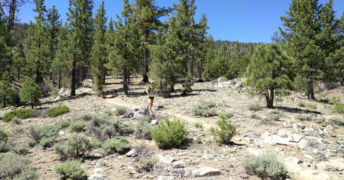 2024 Valley Trail Run Big Bear Lake, CA Big Bear Lake, CA
