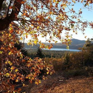 Fall view of the lake