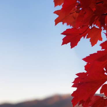 Top Fall Activities in Big Bear Lake | Big Bear Lake, CA