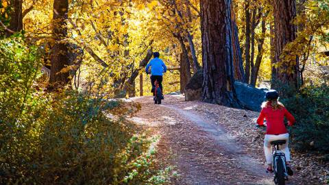 Two bikers riding up hill on a dirt biking trail during fall - the trees covered in fall colors are visible in the distance.