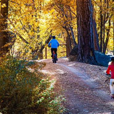Two bikers riding up hill on a dirt biking trail during fall - the trees covered in fall colors are visible in the distance.