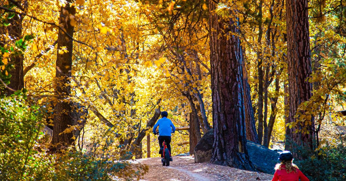Fall into Adventure in Big Bear Lake