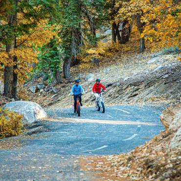 Two cyclists ride along a curving road lined with golden oaks during the fall season in Big Bear Lake, CA.