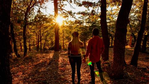 Couple holding hands in the forest