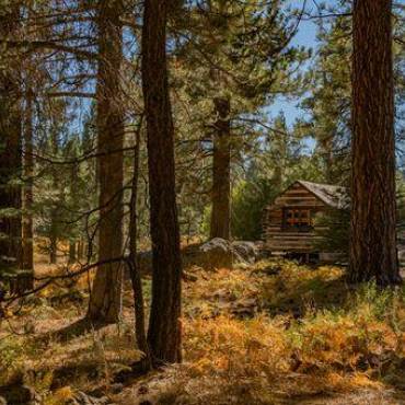 A photo of a log cabin in the woods, the dense green forest visible in the background as well as the fall colored brush.