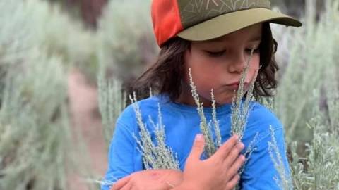 A boy smells a sage plant along a hiking trail in Big Bear.