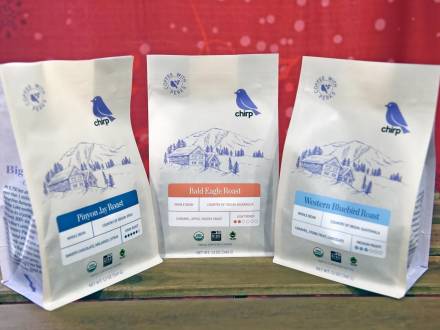 A photo of three types of coffees from Big Bear Chirp, featuring flavors like chocolate, molasses, apple, and caramel.