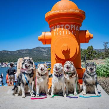Furry Loveable Pups gather around giant Fire Hydrant at annual Puptopia festival