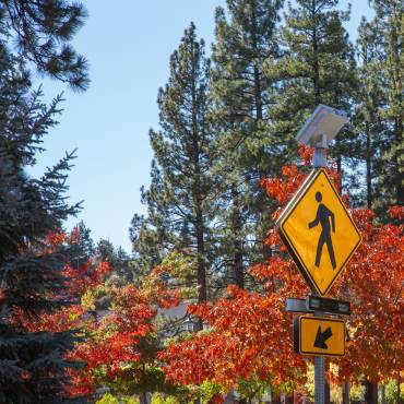 A photo of a road crossing sign - there are trees covered fall colored leaves in the background.