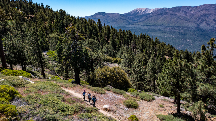 Family hiking on Big Bear Lake trail