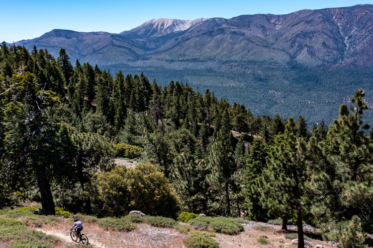 Guy biking on Big Bear Trail