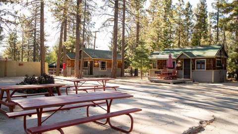 A photo of resort cabins and the outdoor picnic benches, the trees in the background providing a blanket of shade.