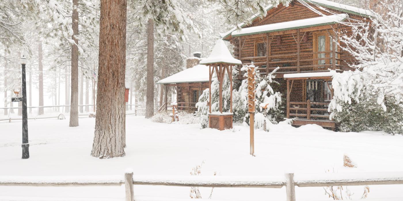 Snow covers the yard of a Big Bear cabin - the tall trees accompanying the tall cabin.