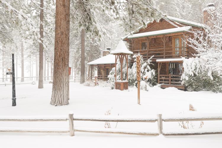 Snow covers the yard of a Big Bear cabin - the tall trees accompanying the tall cabin.