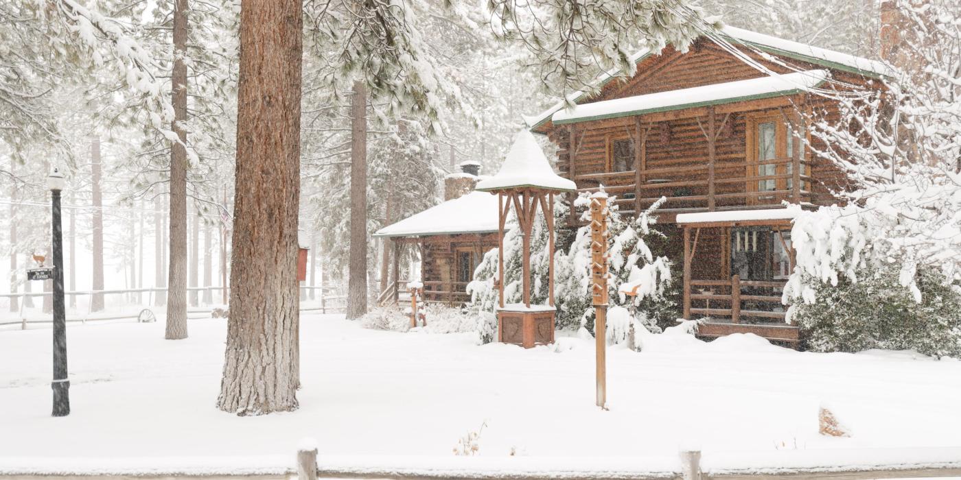 Snow covers the yard of a Big Bear cabin - the tall trees accompanying the tall cabin.